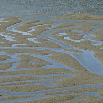 Tides Estuary