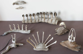 Antarctic instruments array